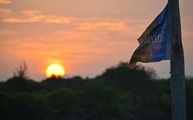 Reef & Beach Resort - Spa Jambiani